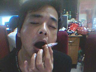 火凤哥爆料贴吧视频,独家爆料背后的惊人真相